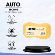 Sponge