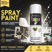 White Gloss 250ml