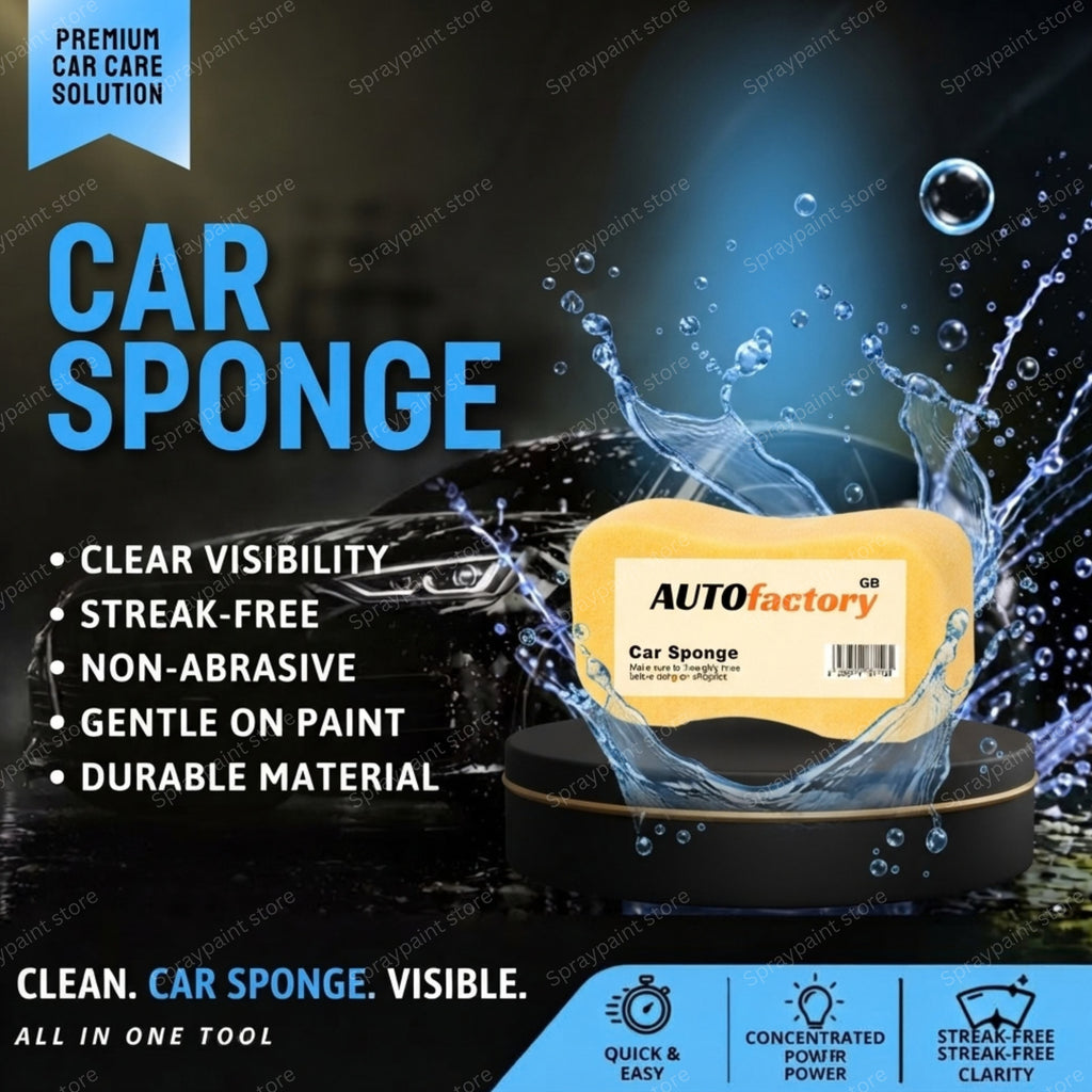 .3x Pack Car Sponge