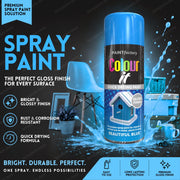 Blue Gloss 250ml