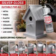 Silver Gloss 400ml