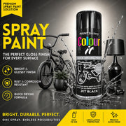 Black Gloss 250ml