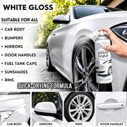 White Gloss 250ml