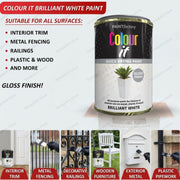 White Gloss 300ml