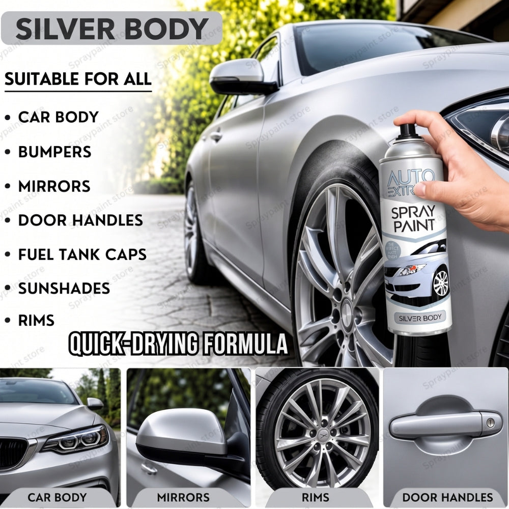 Auto Silver Body 250ml