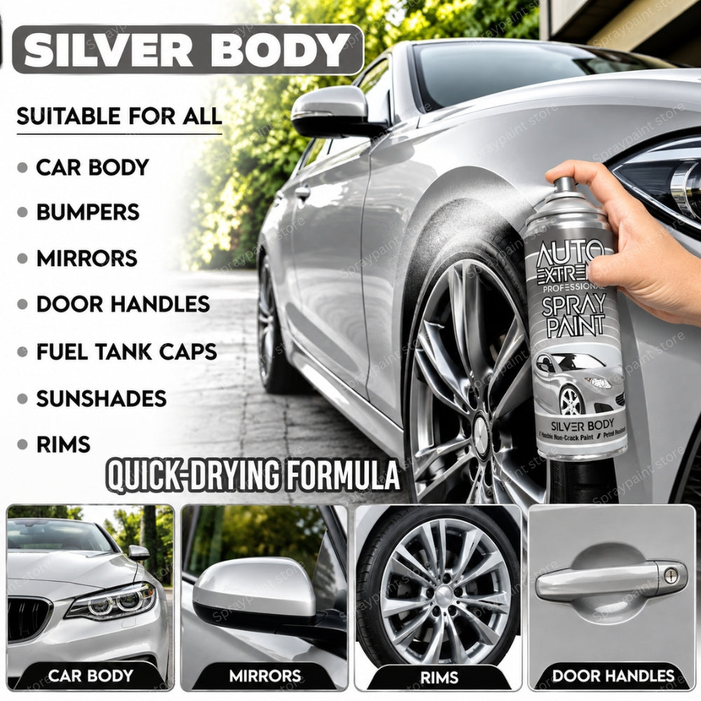 Auto Silver Body 400ml
