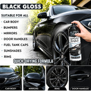 Black Gloss 250ml