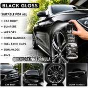 Black Gloss 400ml