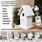 White Gloss 250ml