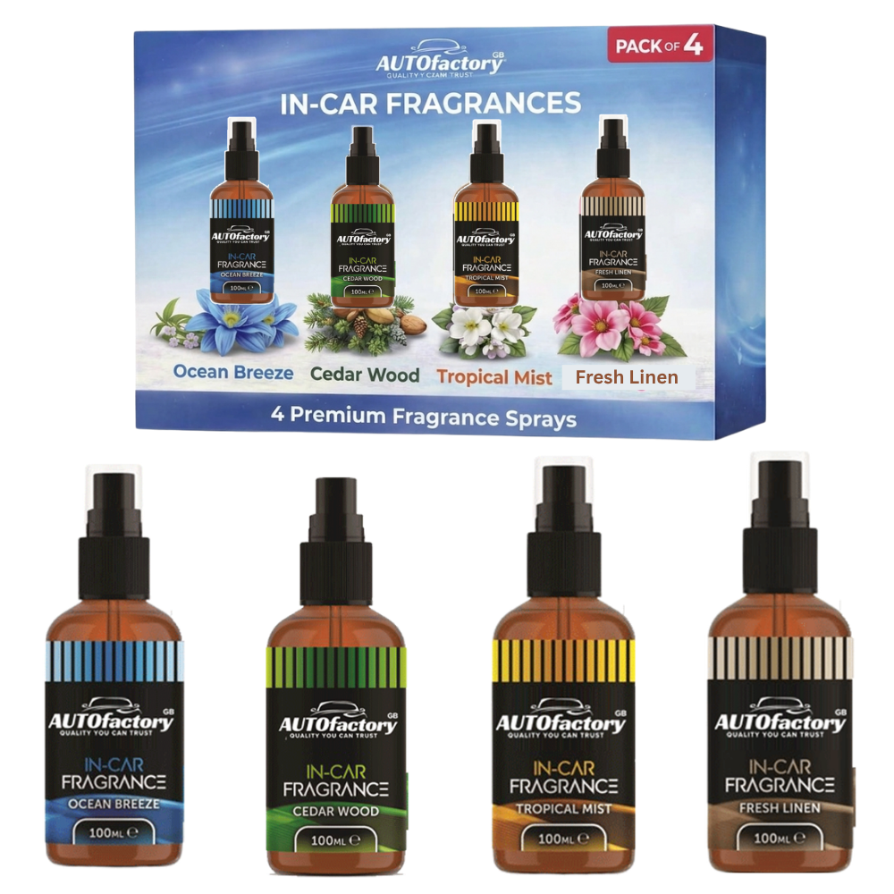 .3x Pack Car Sponge