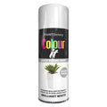 White Gloss 400ml